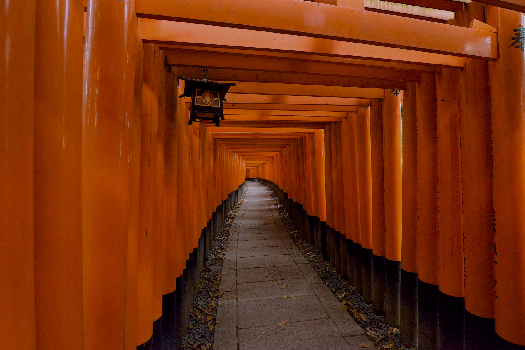 Fushimi Inari